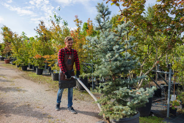 Tree Service Company in Kingston, RI